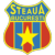 Escudo Steaua MFA Bucuresti