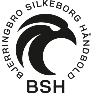 Bjerringbro-Silkeborg