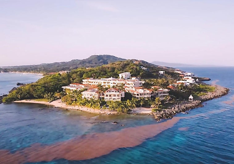 Próspera, la república de los 'tecnobros'... al margen de la ley