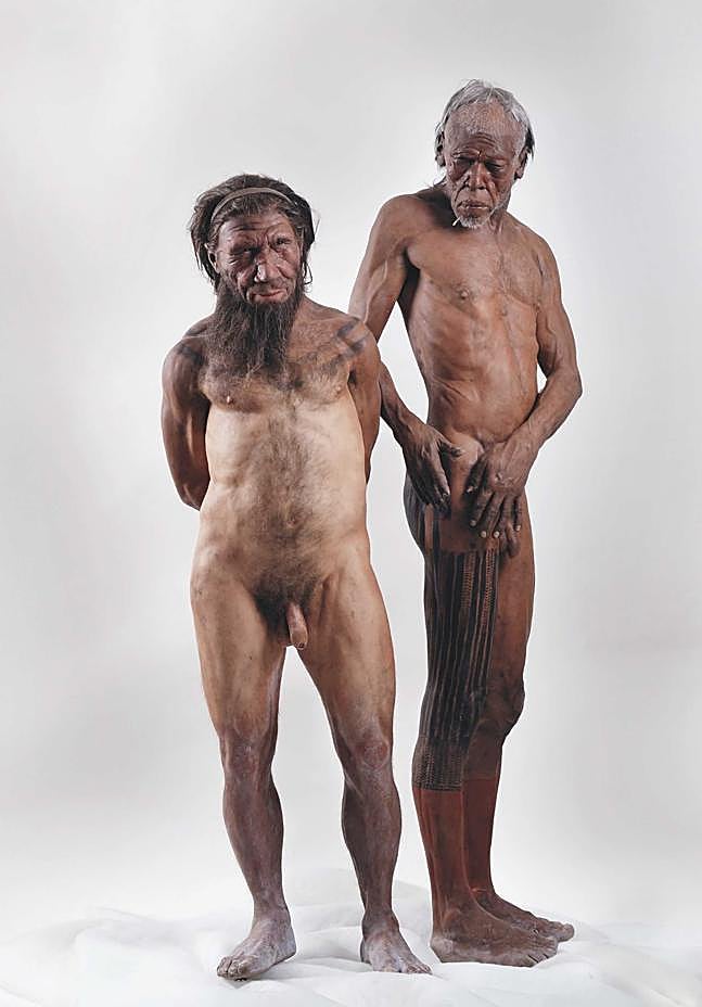 Reproducción de un 'Homo sapiens' y un 'neandertal' del Museo de Historia Natural de Londres.