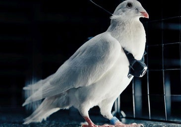 La guerra de los biodrones ya est&Atilde;&iexcl; aqu&Atilde;� (y Putin va por delante)