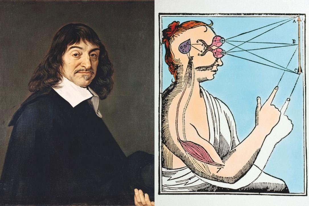 René Descartes —filósofo, matemático y físico del siglo XVII— hizo varios diseños gráficos en los que explicaba, con el conocimiento de la época, la función de la glándula pineal, que él consideraba una 'puerta espiritual'.