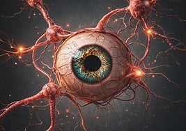 El tercer ojo existe (pero no sirve para ver)