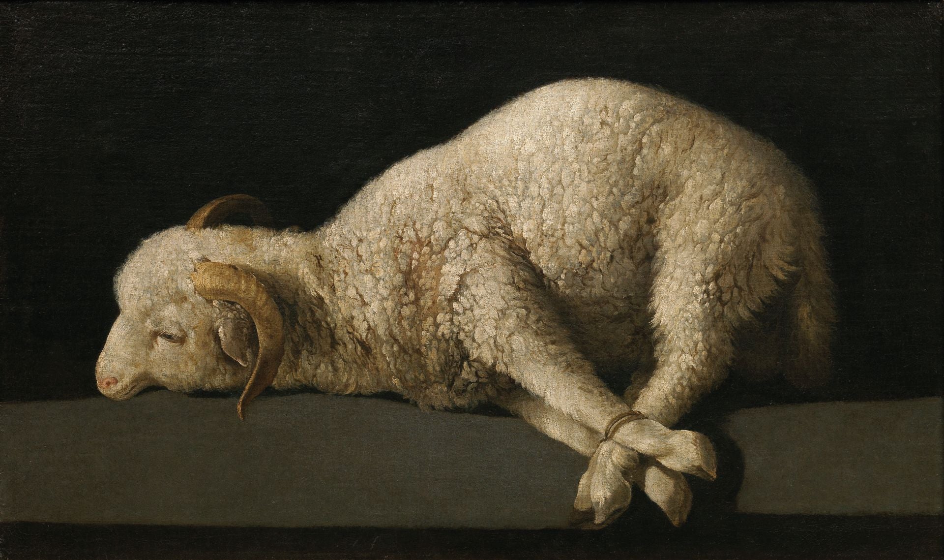 De 1630 a 1640, Zurbarán pintó varias versiones de este cuadro. La más célebre muestra un cordero atado sobre una mesa, que anticipa la Pasión de Cristo. El título alude a él como 'Cordero de Dios' ('Agnus Dei' en latín), símbolo del sacrificio redentor. La textura de su lana es de una precisión técnica tal que invita a acariciarla.