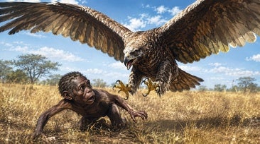 Cuando el humano era la presa (y c&Atilde;&sup3;mo se convirti&Atilde;&sup3; en depredador)