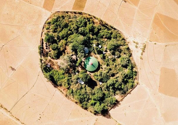 Meg Lowman: «Hay más agua en las copas de los árboles que en los ríos»