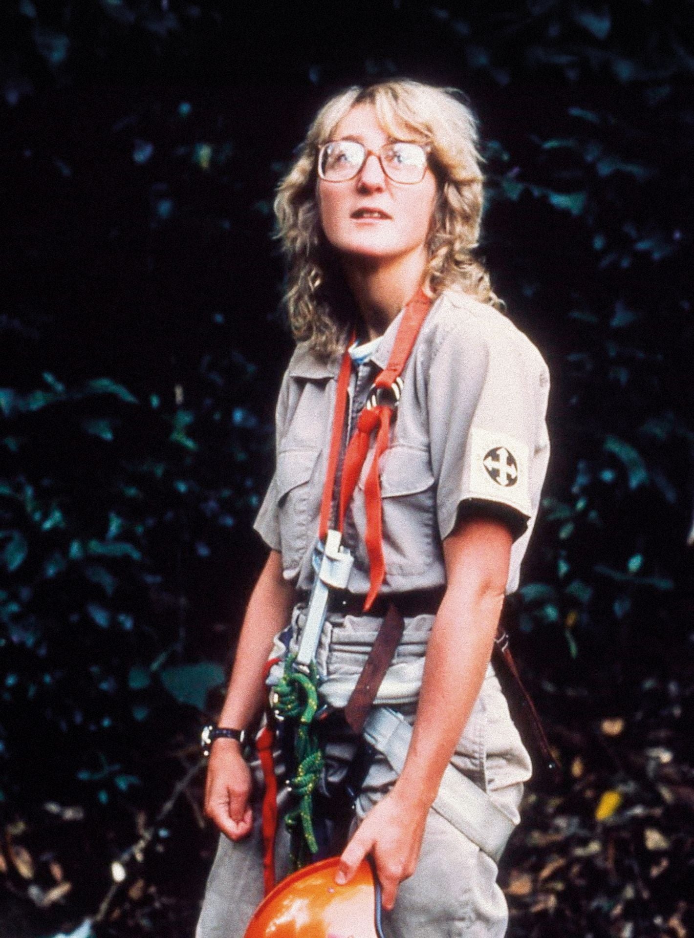 Lowman cuando probaba sus propios arneses para subir a los árboles en el Departamento de Botánica de la Universidad de Sídney en 1979.