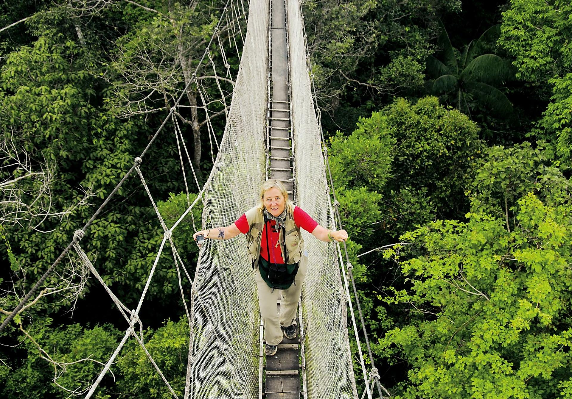 Lowman en la pasarela del Centro Amazónico de Estudios Tropicales, en Perú, en 1994.
