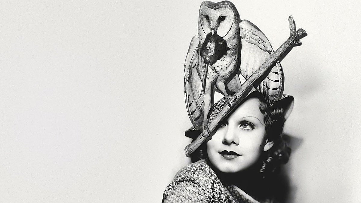 Pájaros en la cabeza: la fiebre por los sombreros de plumas que causó un exterminio histórico