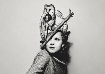 Pájaros en la cabeza: la fiebre por los sombreros de plumas que causó un exterminio histórico