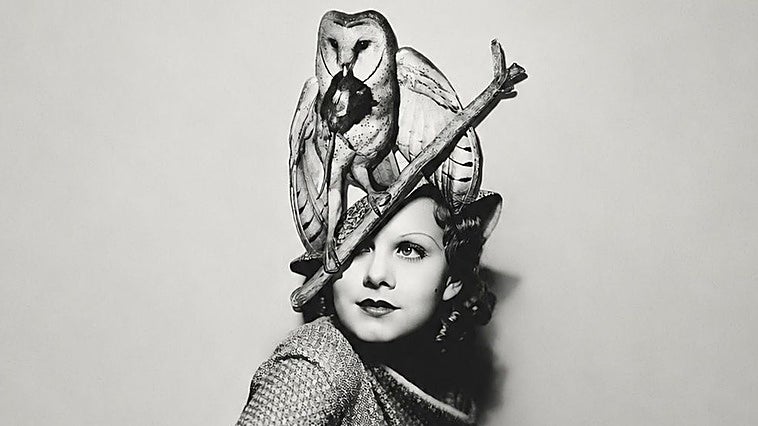 Pájaros en la cabeza: la fiebre por los sombreros de plumas que causó un exterminio histórico