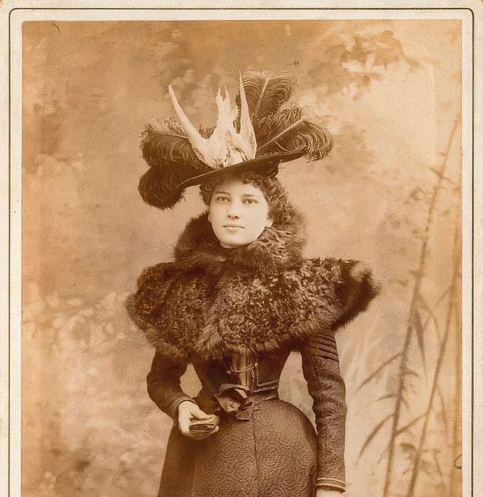 Para adornar los sombreros femeninos cayeron ejemplares de loros brasileños, aves del Paraíso de Papúa Guinea, tangaras, curricas, estorninos, tórtolas, gallinetas... Sin discriminación.