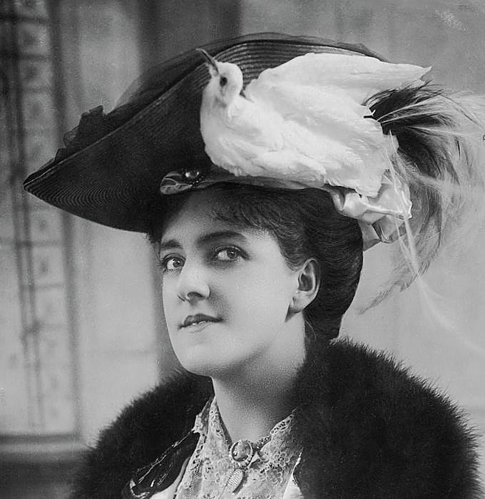 Las palomas de paso o tórtolas migratorias (como la del sombrero) eran tan abundantes en EE.UU. que nadie creía que se pudiesen extinguir, pero los cazadores y un virus provocaron su desaparición en 1914.