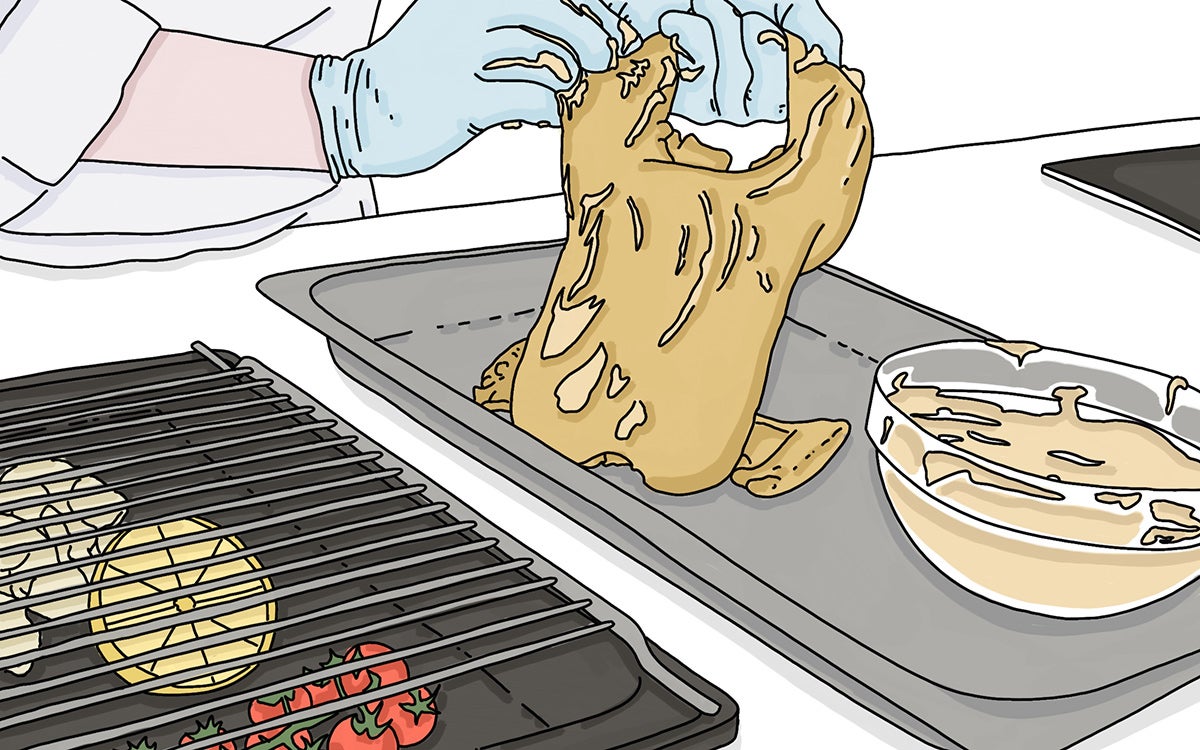 Precalentamos a 90 °C el horno y sobre una rejilla colocada encima de una bandeja –en la que colocaremos el limón y la cabeza de ajos partida en dos– horneamos el pollo con las patas estiradas, bocarriba, durante 90 minutos.