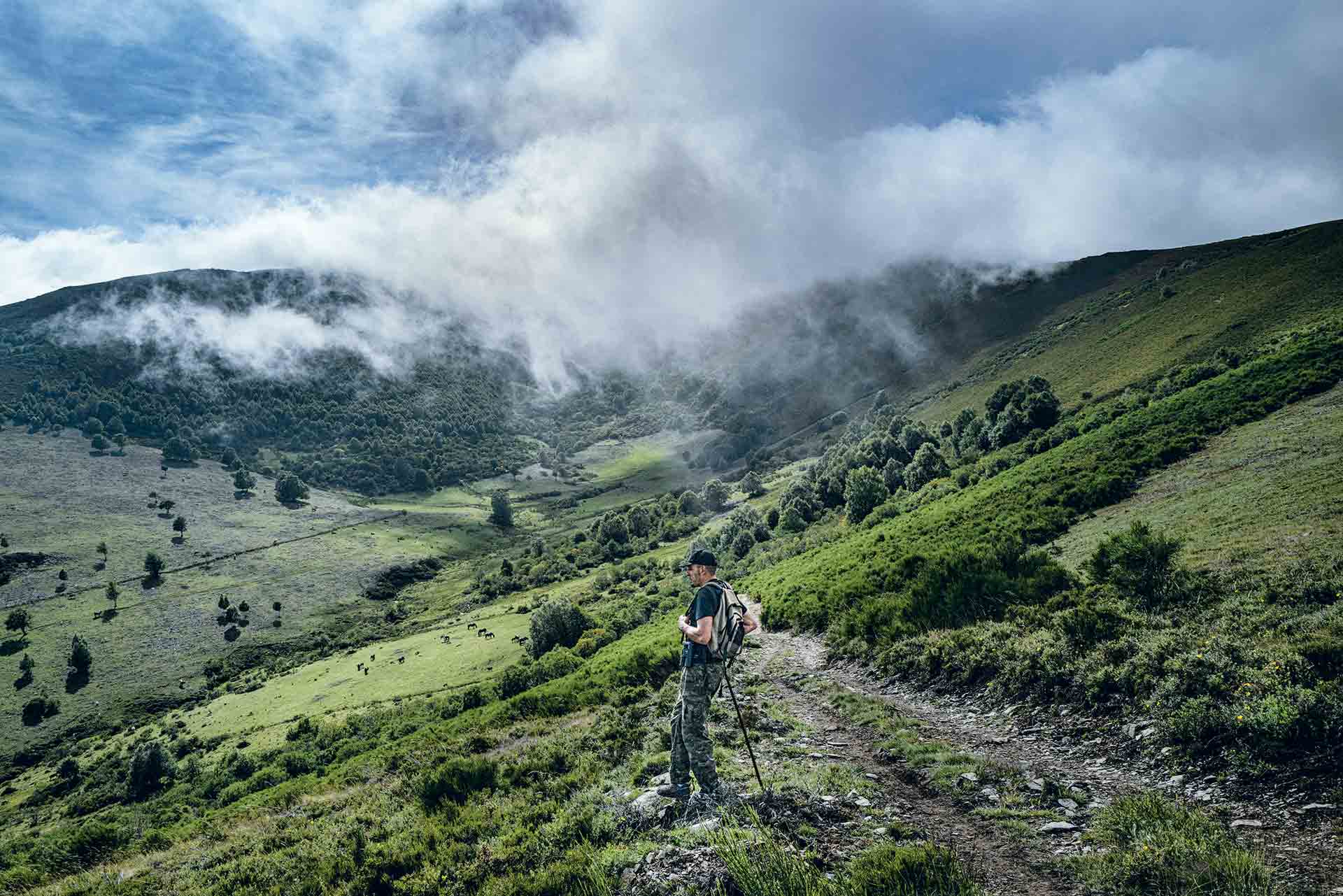 Luis María Fernández creció aquí, en la braña de Caboalles de Abajo. «De niño subía para controlar a vacas, ovejas y caballos y observar a los mastines». La vida lo llevó a la mina y, tras el cierre, ha vuelto a la ganadería y a los perros.