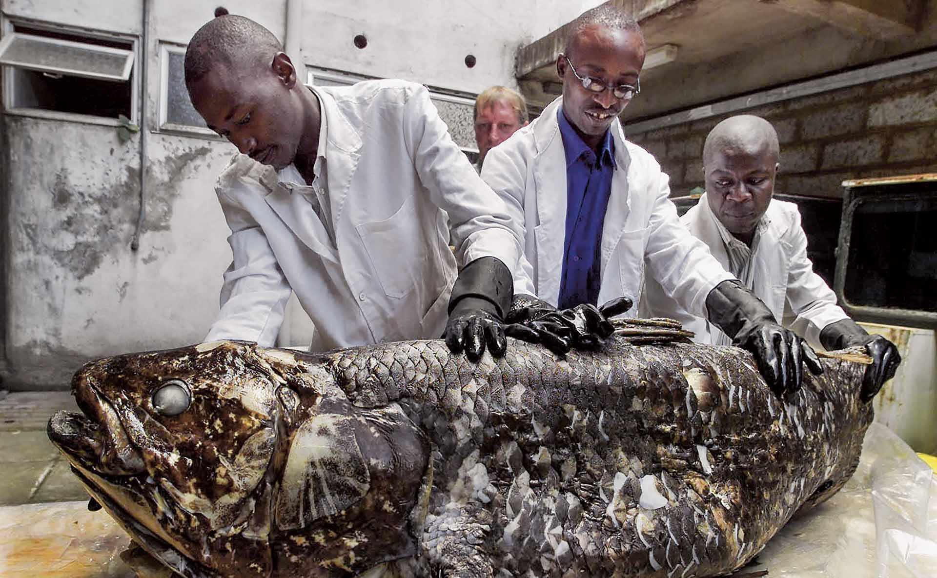 La criatura que desafía al tiempo... y a los científicos