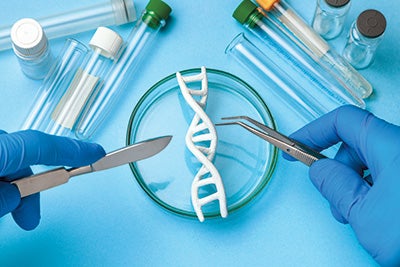 Alphabet es un conglomerado cuya principal empresa es Google. De hecho, fue creado después que el buscador por razones fiscales y organizativas. La otra gran compañía 'hermana' de Google es Calico, especializada en biotecnología. DeepMind, la IA de Google, ahora 'juega' también con genes. Y acaba de superar uno de los mayores desafíos de la biología: crear el mapa completo de proteínas humanas, clave en el diseño de medicamentos. Serán, dicen, datos públicos y gratuitos. |