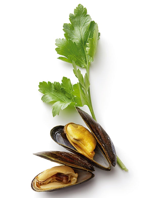 Sí. El sistema de cultivo en batea ha convertido a España en líder europeo. Las bateas no afectan los fondos marinos, según WWF.