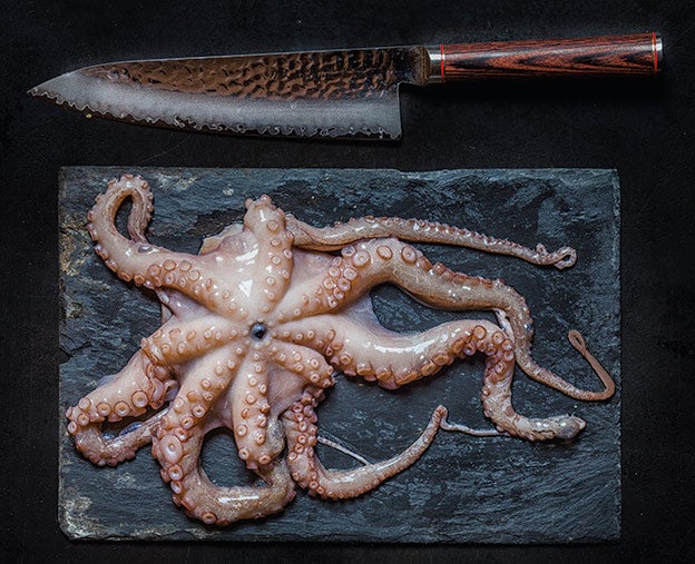 La pesquería de pulpo asturiano ha sido la primera en el mundo en lograr el certificado MSC de pesca sostenible.