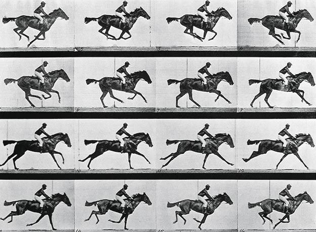 Eadweard Muybridge fotografió en 1878 el trote de un caballo con una batería de 24 cámaras. El millonario que financió la secuencia quería demostrar que, en cierto momento, ninguna de las patas del caballo toca el suelo. Tenía razón.