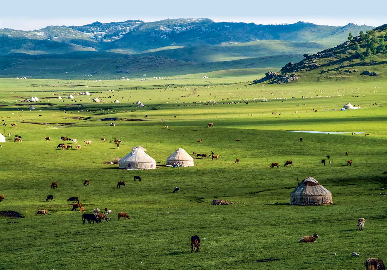 Una de las claves de la expansión de los mongoles fue su alimentación: su ganado, que siempre los acompañaba, les proporcionaba alimentos frescos. Sus rivales chinos, que consumían sobre todo arroz, tenían que acarrear penosamente grandes cantidades de grano.