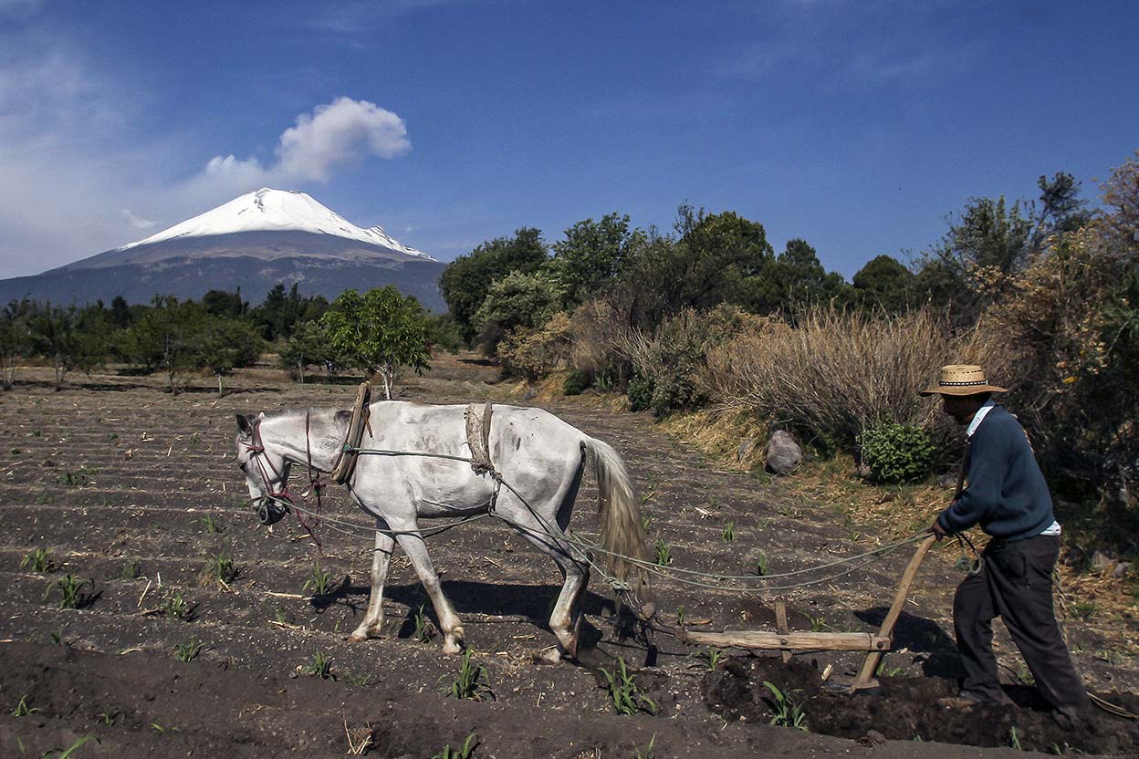 Desde hace varios días este volcán, el segundo más grande de México, ha intensificado su actividad.