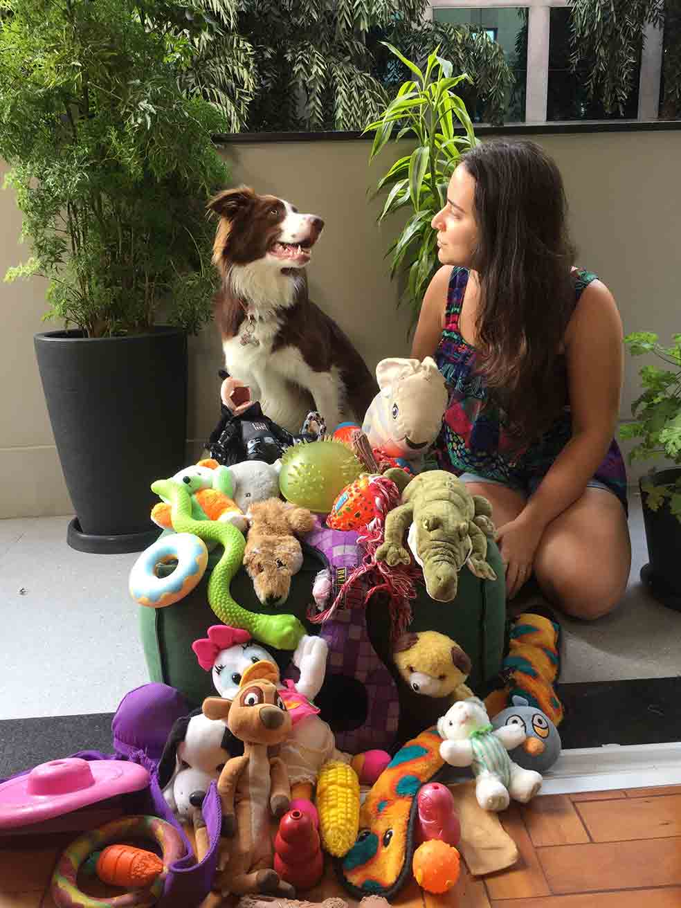 Gaia, otra de las border collie superdotadas, con su dueña, Isabella, y decenas de sus juguetes favoritos a los que reconoce por el nombre con que se los enseñaron.