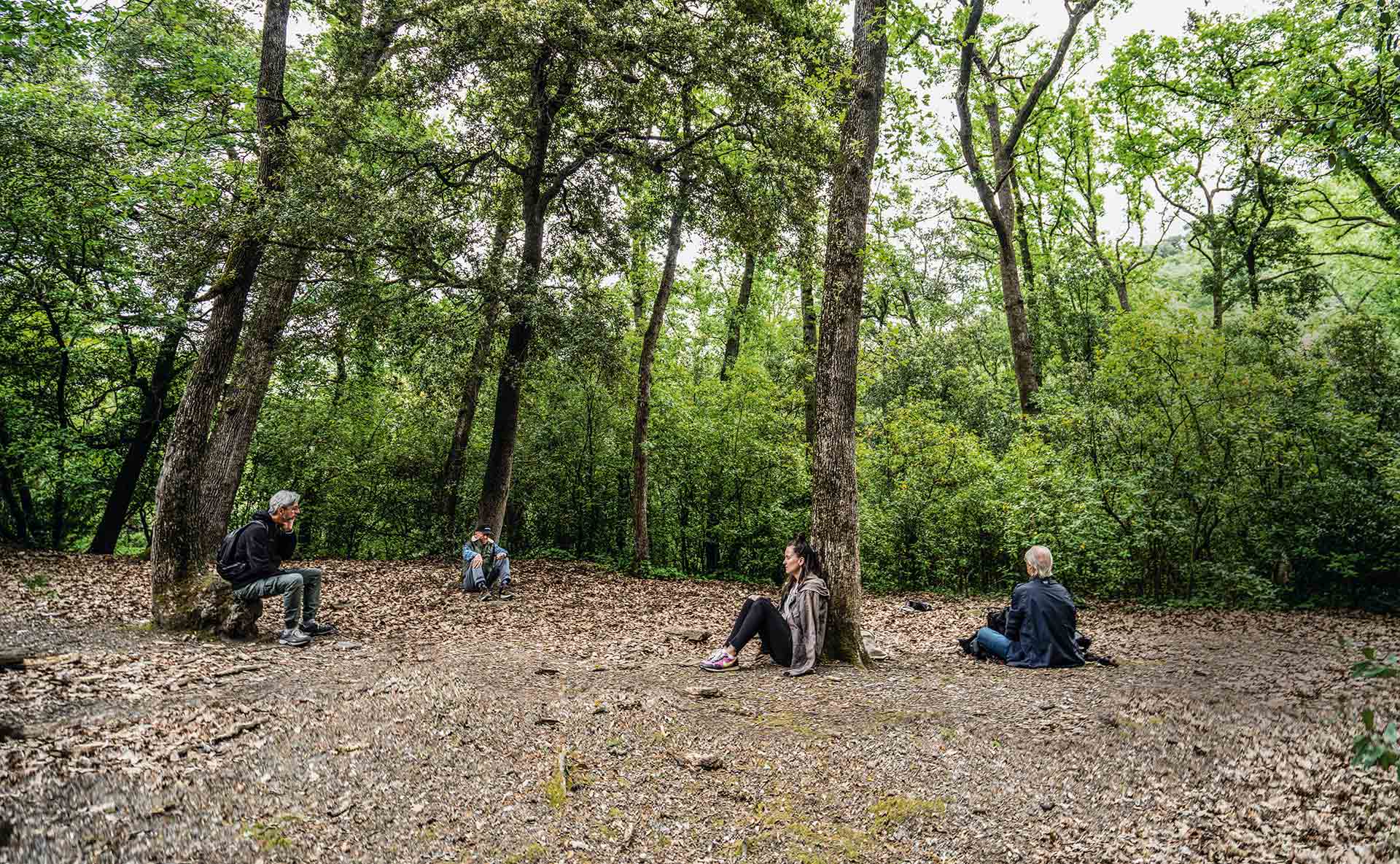 ¡Date un baño de bosque y libera tu estrés!