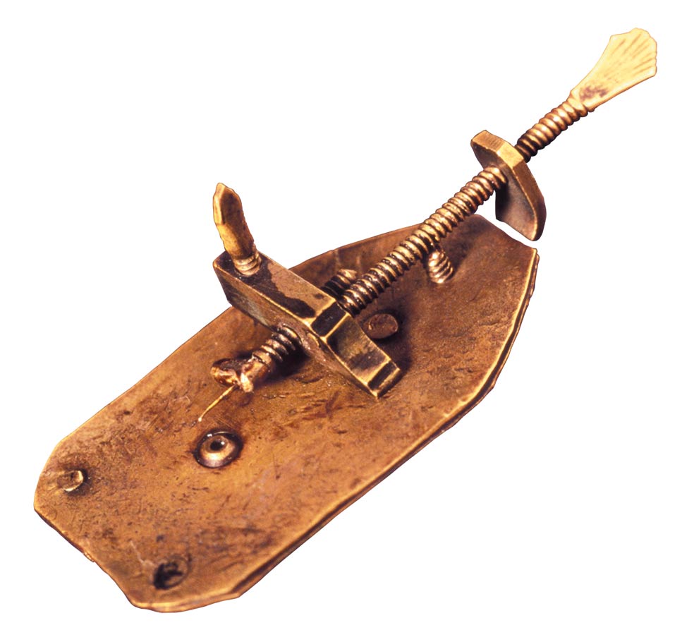 Leeuwenhoek fabricó el microscopio más avanzado del siglo XVII. No explicó cómo lo creó. Se tardaron décadas en mejorar sus lentes.