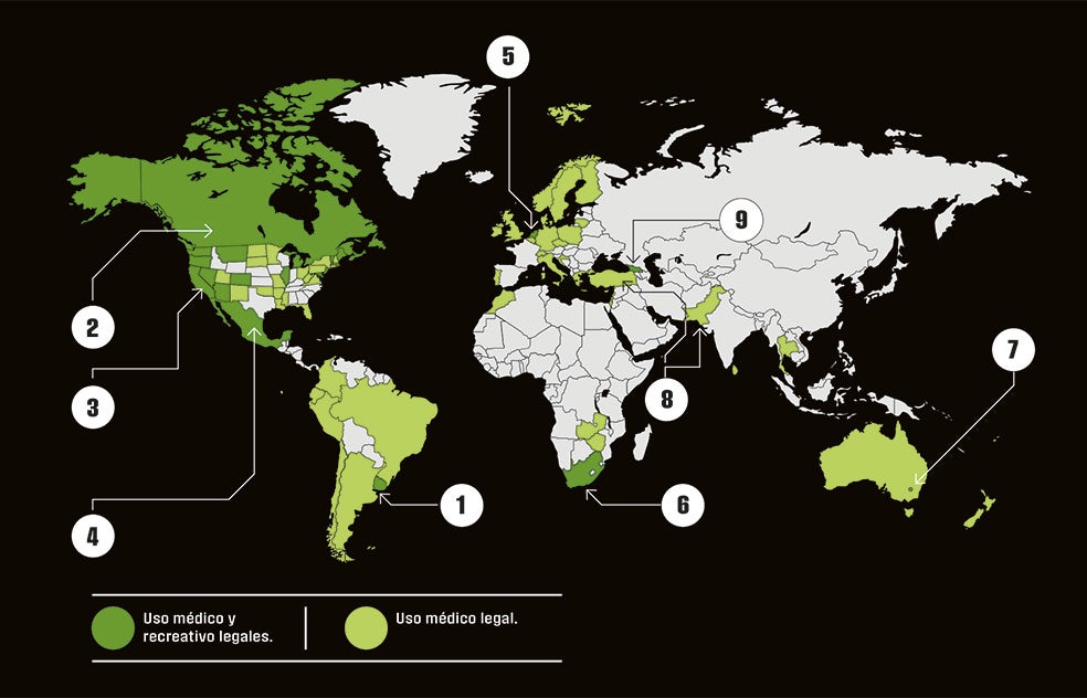 Uruguay fue el primer país del mundo en legalizar el consumo de cannabis, medicinal y recreativo, en 2013 (1), pero lo que marcó la diferencia en su percepción internacional, fue que lo legalizase Canadá en 2018 (2). En Estados Unidos, la ley federal prohíbe su uso, pero muchos Estados lo autorizan (3). México ha sido el último país en permitir su uso recreativo en 2021 (4). En Europa los Países Bajos es el único país donde es legal la venta en locales con licencia (5). Sudáfrica lo legalizó en 2018 (6). En Australia es legal su uso terapéutico; el recreativo, solo en Canberra (7). Turquía y Pakistán acaban de autorizar su uso médico (8). Y en Georgia es legal desde 2018 (9). Es el único país exsoviético que lo autoriza. Las empresas canadienses, donde es legal, dominan el mercado legal mundial. La mayor es Canopy, creada en 2014. Su principal accionista es la estadounidense Constellation, una de las mayores compañías de bebidas del mundo. Tilray fue el primer negocio de cannabis que salió a Bolsa en 2018. Sus socios: la cervecera mundial Anheuser-Busch InBev y la farmacéutica Novartis.
