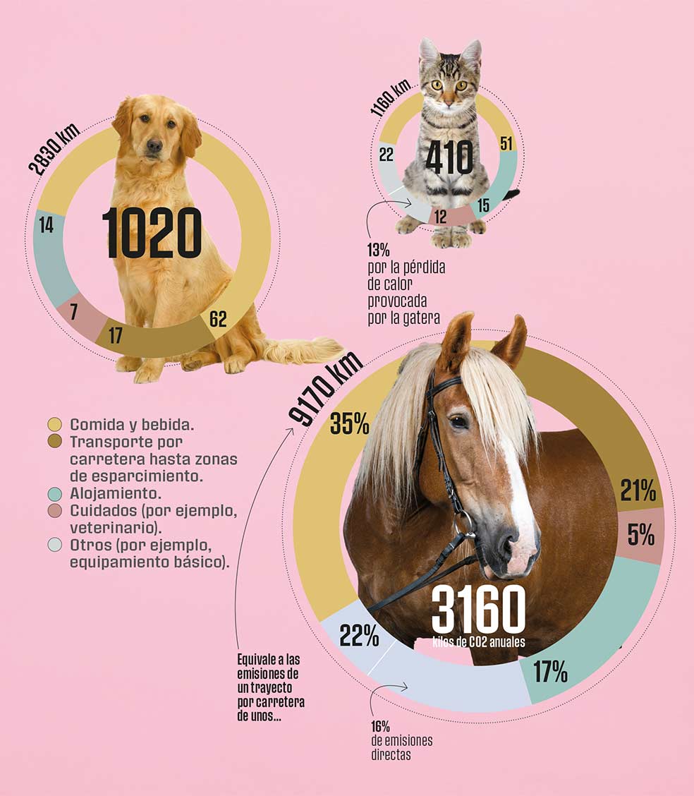 Un perro produce 1020 kilos de CO2 al año. Los genera en distintos conceptos (aquí aparecen las causas en tantos por ciento) y suponen el equivalente a 2830 kilómetros recorridos en coche. Y las cifras del caballo son mucho mayores. Son datos de 2019.