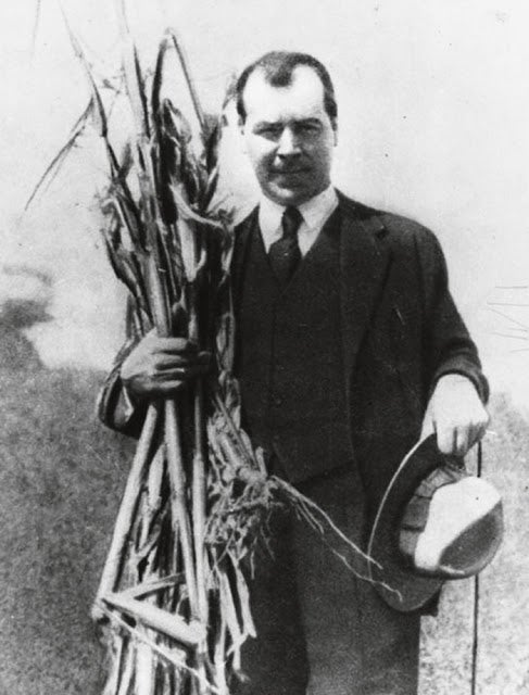 Brücher robó miles de semillas recolectadas por el ruso Nikolái Vavílov (en la imagen), uno de los más grandes botánicos de todos los tiempos. Vavílov estaba convencido de que la única manera de evitar las hambrunas era preservar la diversidad genética de los cereales y recorrió el mundo coleccionando semillas. Tras la guerra, cayó en desgracia. Para Stalin, la genética era una ciencia «burguesa». Vavílov, cuyo objetivo era erradicar el hambre, murió de inanición en 1943, en la cárcel.