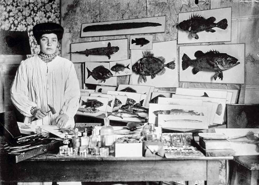 Josefa Sanz posa junto a peces naturalizados estudiados y preparados por ella. Sanz trabajó para la Estación de Biología Marina de Santander, vinculada con el museo, y en 1937 fue vicebibliotecaria de la Sociedad Española de Historia Natural.