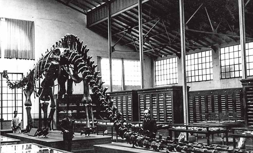 Salón del Diplodocus en 1922. Es una réplica, donada en 1913 por el potentado estadounidense Andrew Carnegie. Mide 24 metros de largo y es una de las estrellas del museo. Sigue allí, restaurado y expuesto.