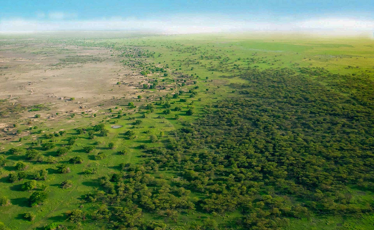 La gran muralla verde: ¿es posible convertir un desierto en un vergel?