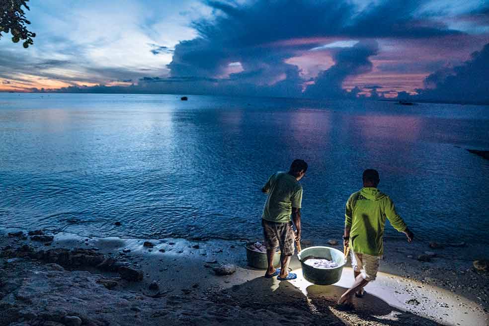 Hace diez años, un pescador de Tan-awan comenzó a dar cangrejos a los tiburones y a pasear a turistas. Triplicó sus ingresos. El resto hizo lo mismo.