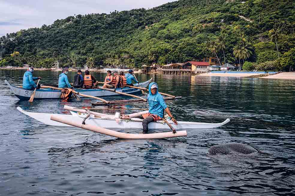 Los pescadores de Tan-awan acercan a los turistas hasta los tiburones en sus canoas. Hasta un millón de viajeros ha acudido allí para disfrutar de esa experiencia.