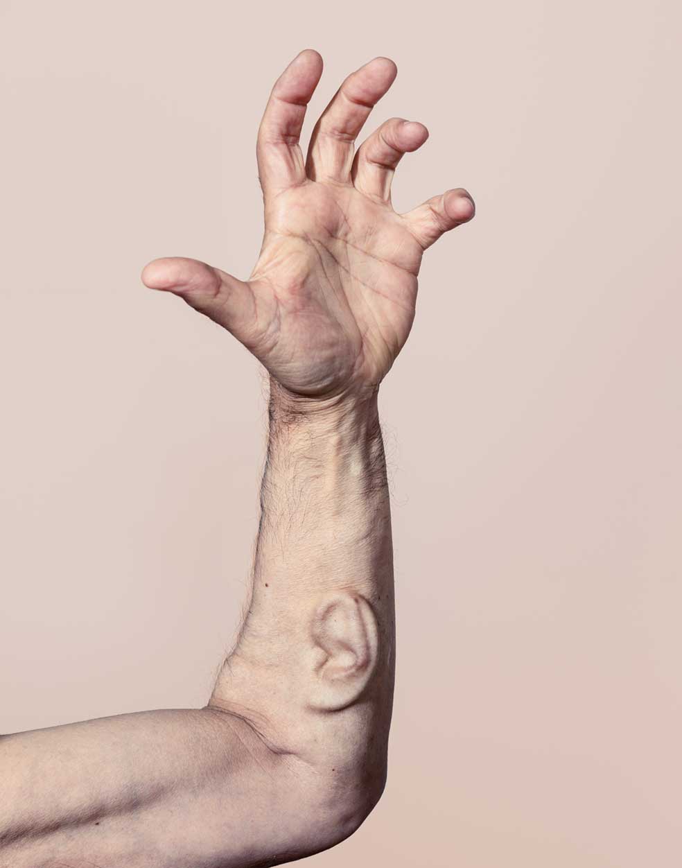 El artista tecnológico australiano Stelarc se implantó una oreja extra en el antebrazo. Está hecha de células de cartílago cultivadas en laboratorio. Pensaba colocársela en la cara, pero los cirujanos se lo desaconsejaron. La oreja lleva un micrófono conectado a Internet para que cualquiera pueda escuchar lo que 'oye'.