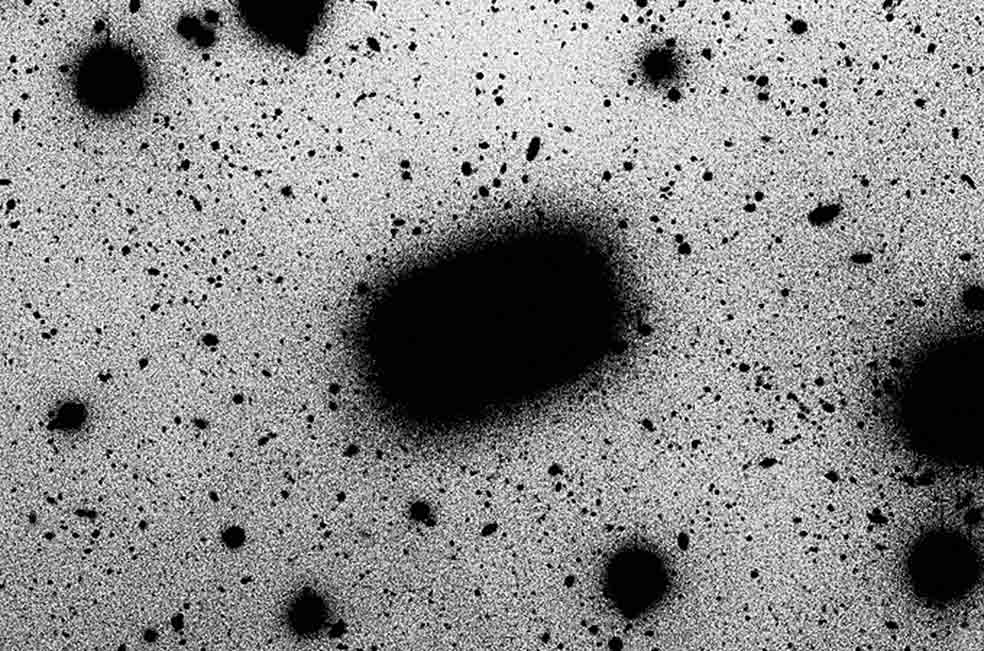 La mayoría de las galaxias son elípticas, de disco o irregulares. Pero Leda 074886 es rectangular. Es una galaxia enana que está a 70 millones de años luz. Y, según su descubridor, el australiano Alister Graham: «Es una de esas cosas que te hacen sonreír porque no debería existir». Los astrónomos especulan que pudo haberse formado por la colisión de dos galaxias espirales y que las estrellas que ya existían se distribuyeron formando un diamante. La Vía Láctea podría acabar así cuando choque con Andrómeda dentro de 3000 millones de años.