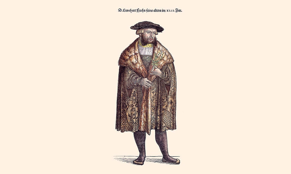 El genial botiquín del 'doctor fucsia'