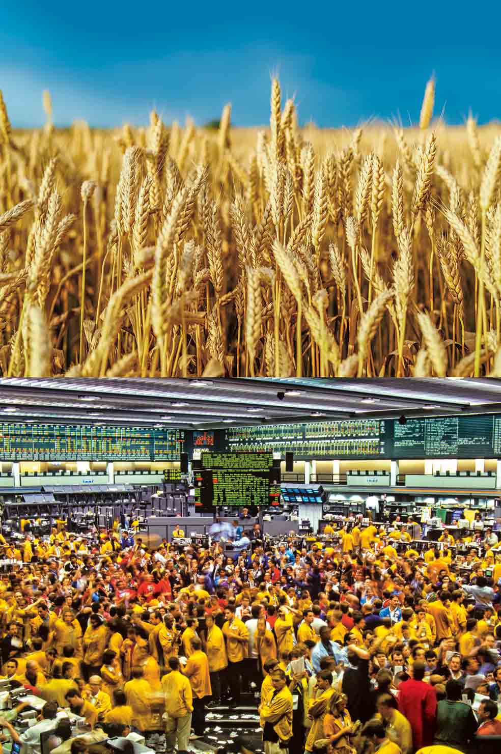 La Bolsa de Chicago es la referencia mundial en el precio de los alimentos. Se paga por algo que aún no existe: la próxima cosecha. Los corredores van con chaquetas amarillas; los traders, con rojas. Tras la pandemia, esta negociación ha pasado a ser on-line. El amarillo de la bandera de Ucrania alude a su riqueza agrícola a cielo abierto.