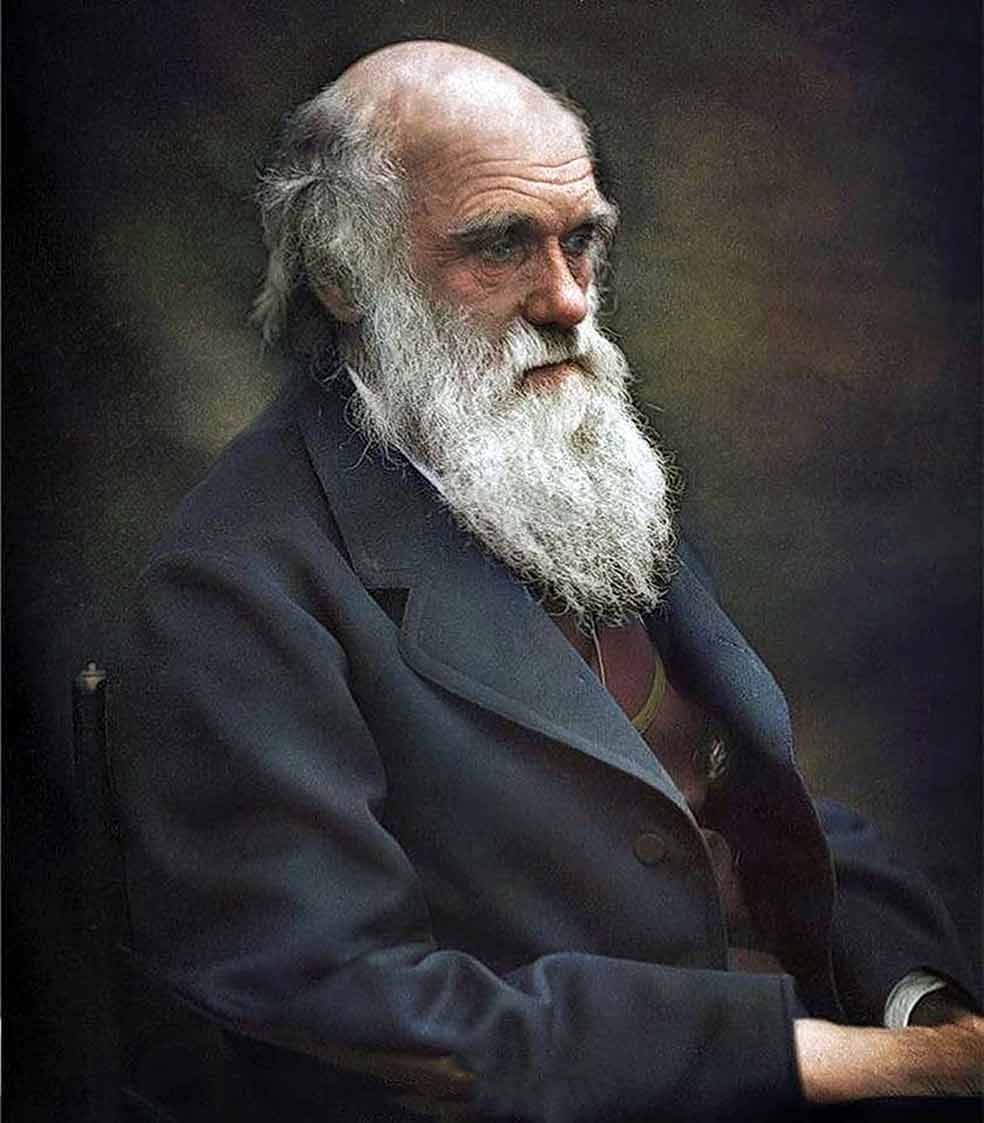 Enfermo desde su regreso a Inglaterra, Charles Darwin, ya célebre por la publicación de El origen de las especies, fue convirtiéndose poco a poco en un recluso en su propia casa. Falleció el 19 de abril de 1882, diecisiete años después que FitzRoy.