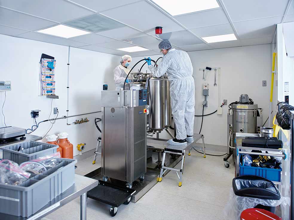 Empleados secan flores de marihuana para hacer extractos y aceites esenciales. La plantilla de la empresa supera los 650 empleados; todos, con acciones. Acaba de abrir fábrica en Portugal, a la espera de que Alemania legalice la ‘maría’ y siente cátedra en la UE.