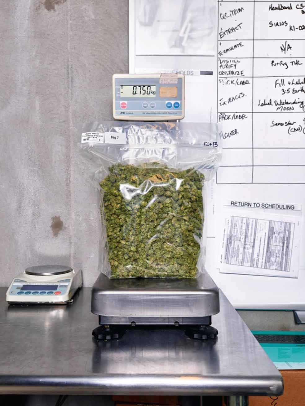 La compañía produce para la farmacéutica Novartis también cultiva flor de marihuana con propiedades medicinales. Una bolsa como la de la báscula sale por 9000 euros. Ahora amplía negocio: la empresa ha firmado un acuerdo con la matriz de la cervecera Budweiser para producir una bebida.