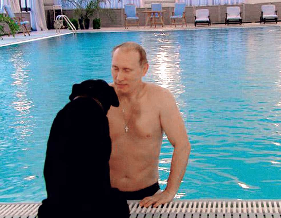 Tiene varios perros, pero su favorito es Koni, un labrador de 15 años al que no duda en llevar incluso a las recepciones oficiales. Koni ha dado algún susto a Merkel.