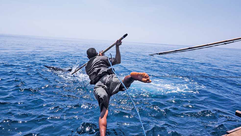 Los cazadores de Lamalera se lanzan al mar con el arpón. En el agua se pueden enredar con la estacha que amarra el arpón a la barca o puede embestirlos el cachalote. El riesgo es mortal.
