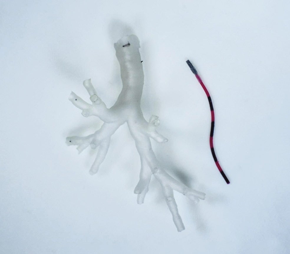 Este microrrobot entra por la boca o la nariz y penetra en los bronquiolos. Se cuela donde no llegan los broncoscopios y detectan proteínas que indican que se están desarrollando tumores.