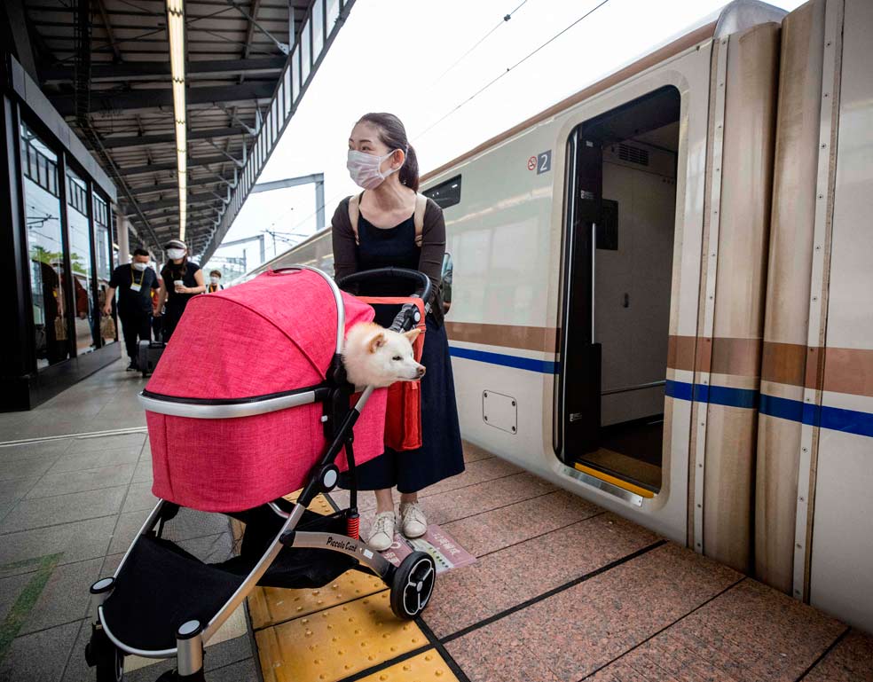 Una mujer desembarca de un tren bala shinkansen con su perro en la ciudad turística de Karuizawa. Han viajado desde Tokio en un vagón especial para mascotas.