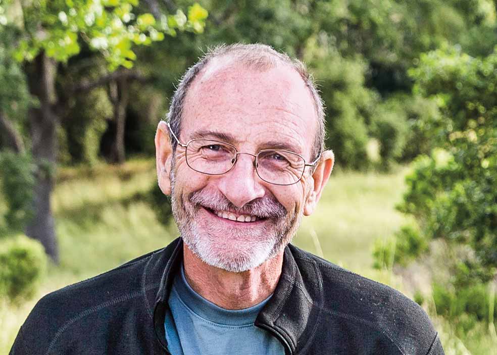 Imagen - Los modelos de Field han permitido cuantificar el papel esencial de los ecosistemas en la cantidad de carbono que circula por la atmósfera. Y han demostrado cómo la vegetación participa en el control del clima, pues modifica la radiación solar que absorbe el planeta y la evaporación del agua.