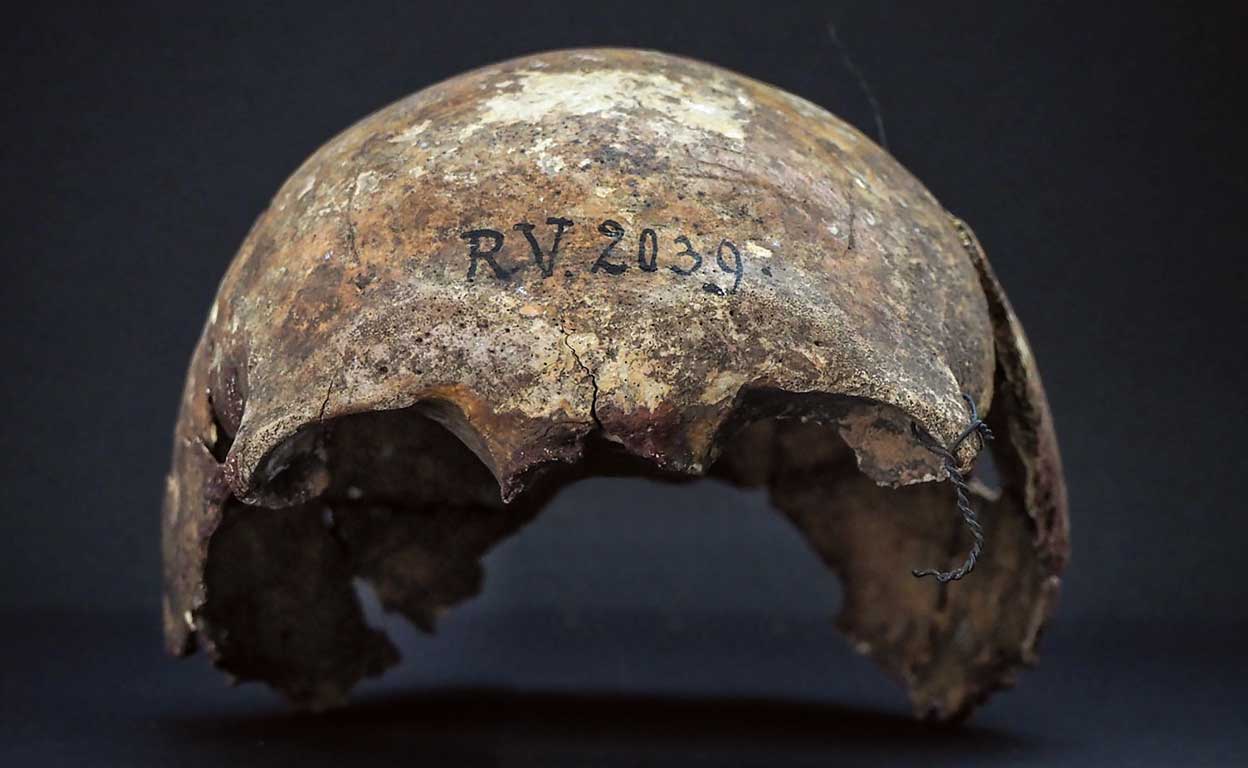 Esta calavera trajo la peste negra